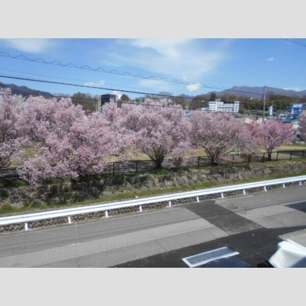 現地周辺 (眺望)