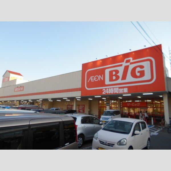 現地周辺 (ザ・ビック上田中央店(350m))