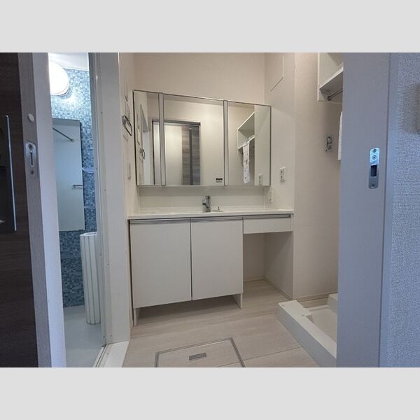 洗面所 (洗髪洗面化粧台)