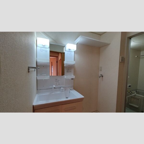 洗面所 (洗髪洗面化粧台)