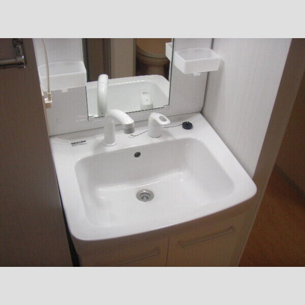 洗面所 (独立洗面台)