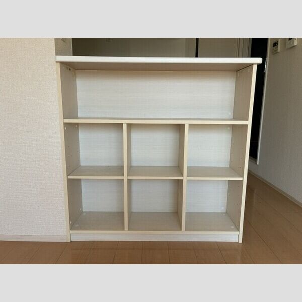 収納 (居間側 棚)