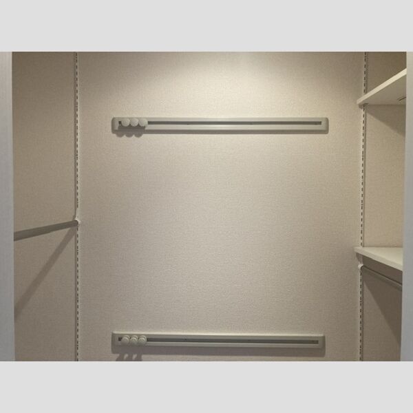 収納 (クローゼット)