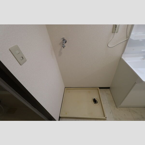その他 (室内洗濯機置場)