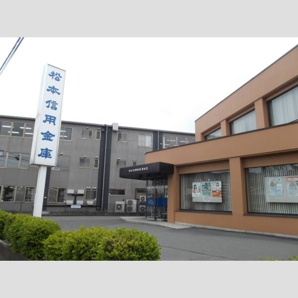 現地周辺 (松本信用金庫南支店(754m))