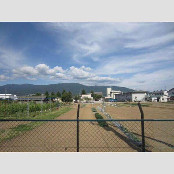 現地周辺 (眺望)