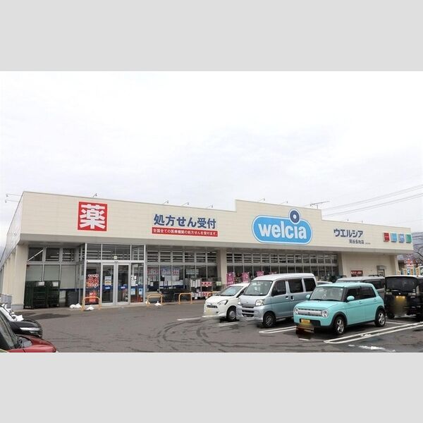 現地周辺 (ウエルシア岡谷長地店)