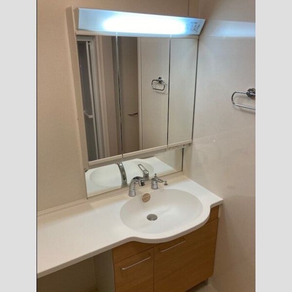 洗面所 (洗面所)