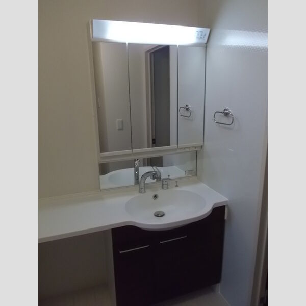 洗面所 (洗髪洗面化粧台)