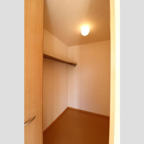 収納 (ウォークインクローゼット(南西側洋室))