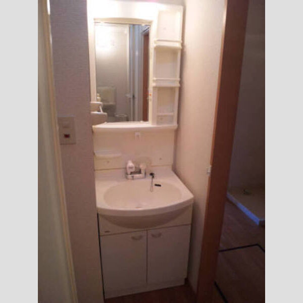 洗面所 (シャンプードレッサー)