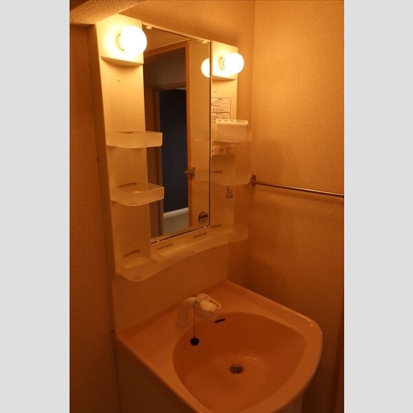 洗面所 (洗面所)