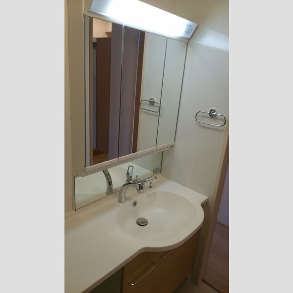 洗面所 (カウンター付き洗面化粧台)