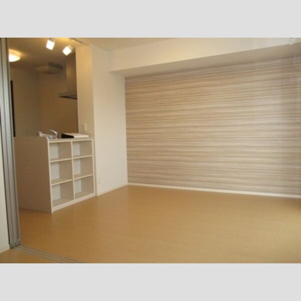 収納 (対面カウンター収納付のLDK)