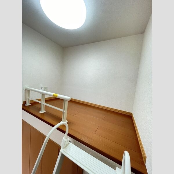 その他 (小屋裏収納)