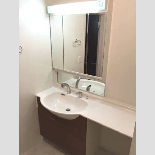 洗面所 (カウンター付き洗面化粧台)