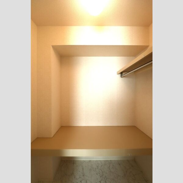 収納 (ウォークインクローゼット)