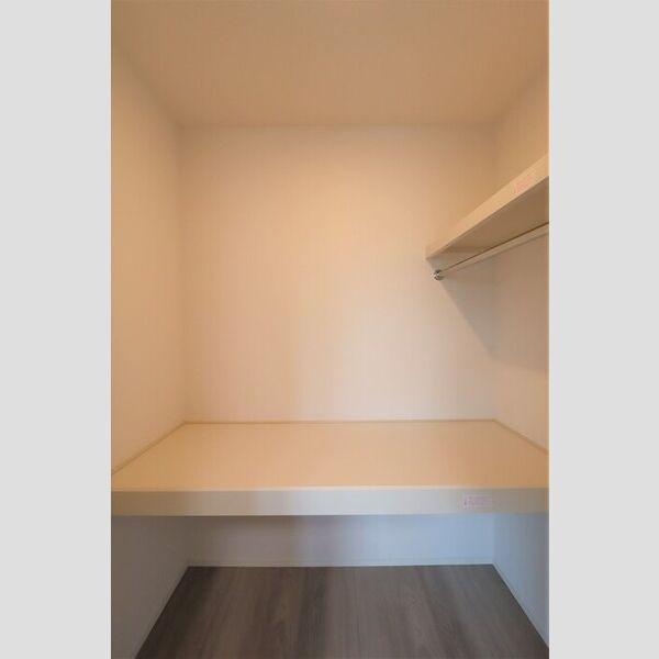 収納 (ウォークインクローゼット)