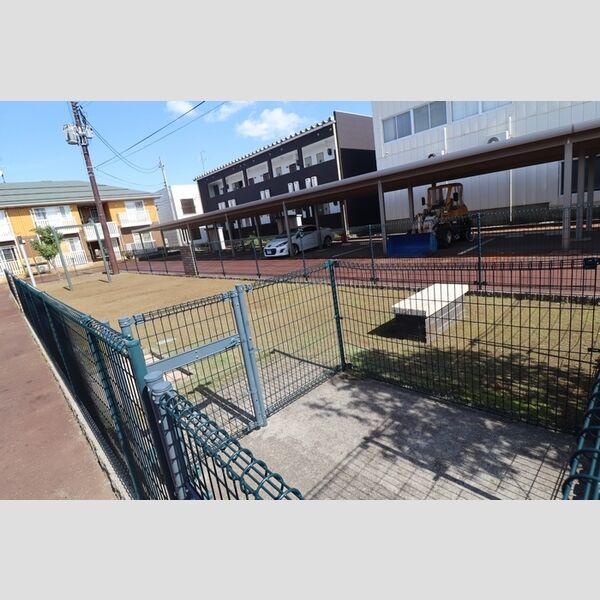 現地周辺 (ドッグラン)