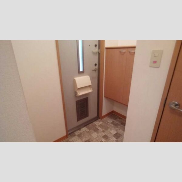 玄関 (シューズボックス(カウンタータイプ))