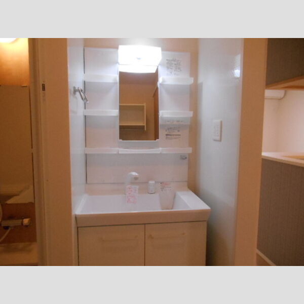 洗面所 (洗髪洗面化粧台)