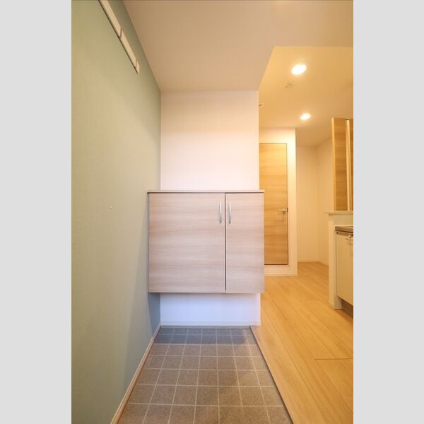 玄関 (シューズボックス(カウンタータイプ))