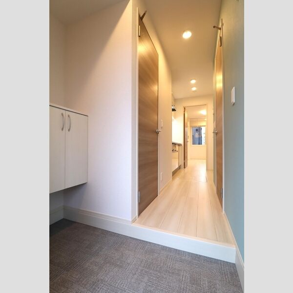 玄関 (シューズボックス(カウンタータイプ))