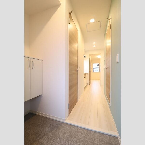 玄関 (シューズボックス(カウンタータイプ))