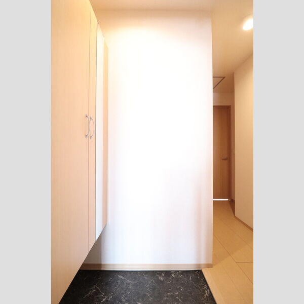 玄関 (シューズボックス(トールタイプ))