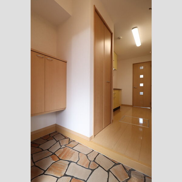 玄関 (シューズボックス(カウンタータイプ))