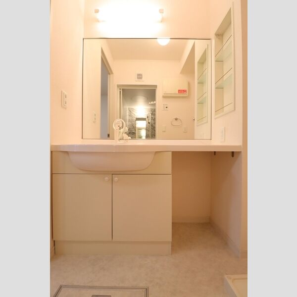洗面所 (洗髪洗面化粧台)
