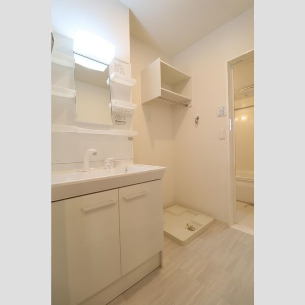 洗面所 (洗髪洗面化粧台)