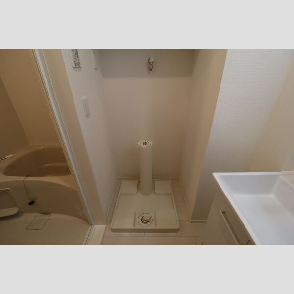 その他 (室内洗濯機置場)