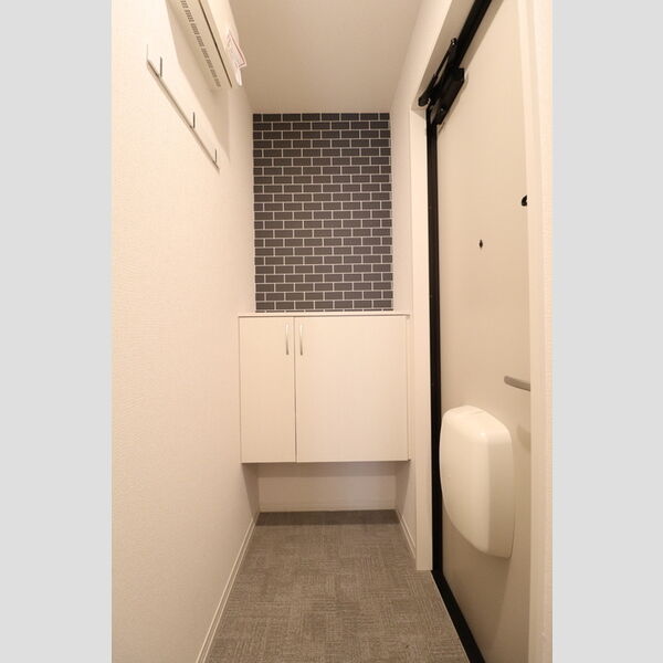 玄関 (シューズボックス(カウンタータイプ))