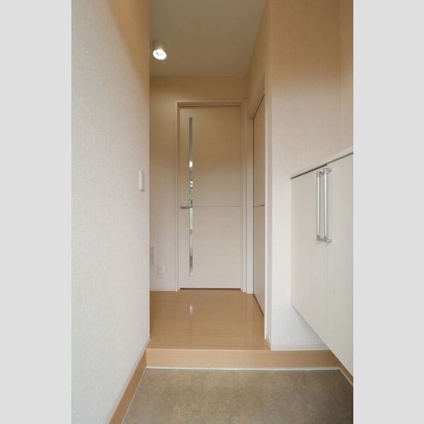 玄関 (シューズボックス(カウンタータイプ))