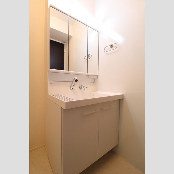 洗面所 (洗髪洗面化粧台)