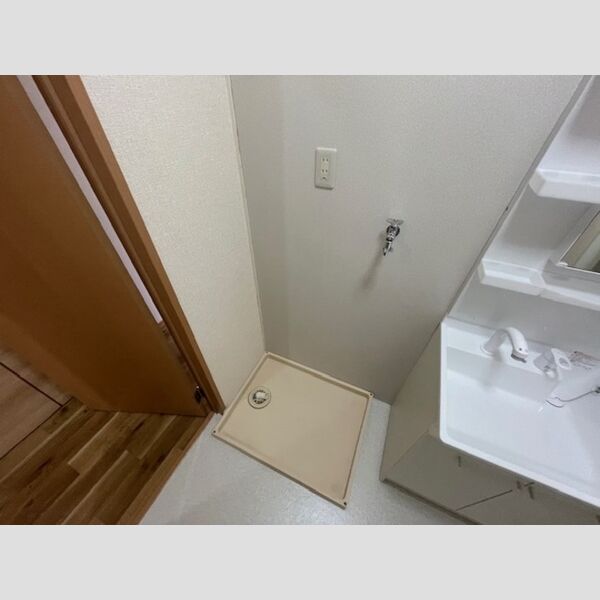 その他 (室内洗濯機置場)