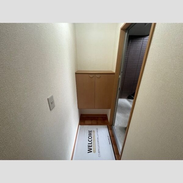 玄関 (シューズボックス(カウンタータイプ))