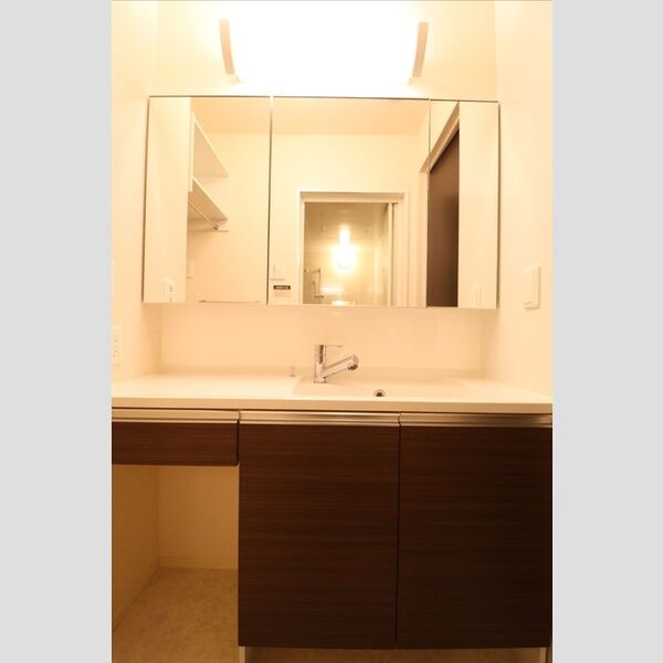 洗面所 (洗髪洗面化粧台)