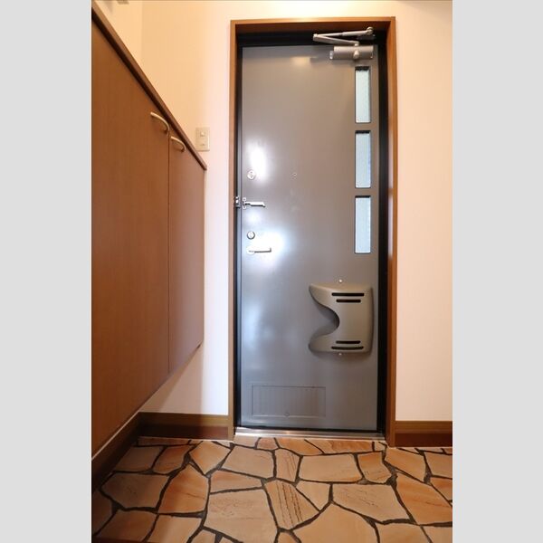 玄関 (シューズボックス(カウンタータイプ))