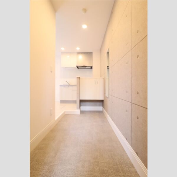 玄関 (シューズボックス(カウンタータイプ))