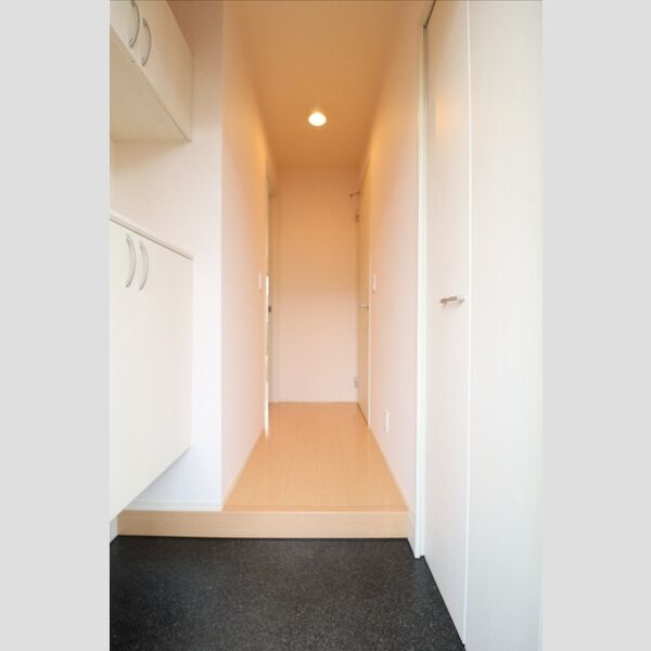 玄関 (シューズボックス(吊戸タイプ))