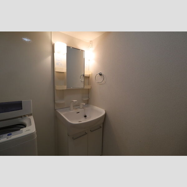 洗面所 (洗髪洗面化粧台)