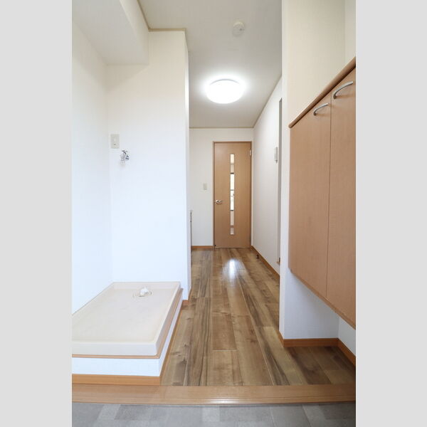 玄関 (シューズボックス(カウンタータイプ))