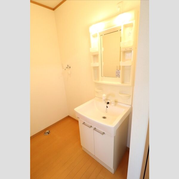 洗面所 (洗髪洗面化粧台)