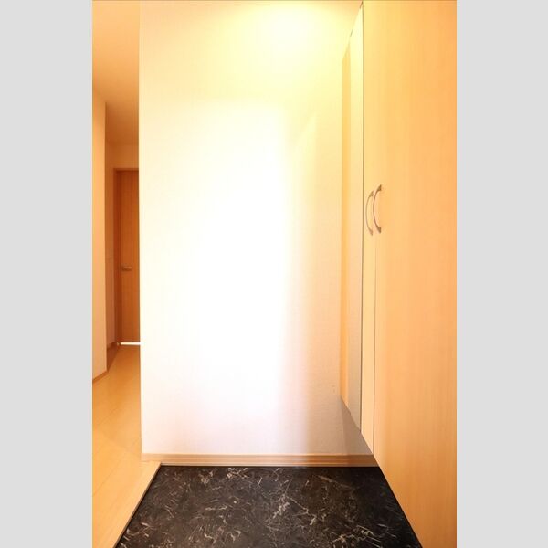 玄関 (シューズボックス(トールタイプ))