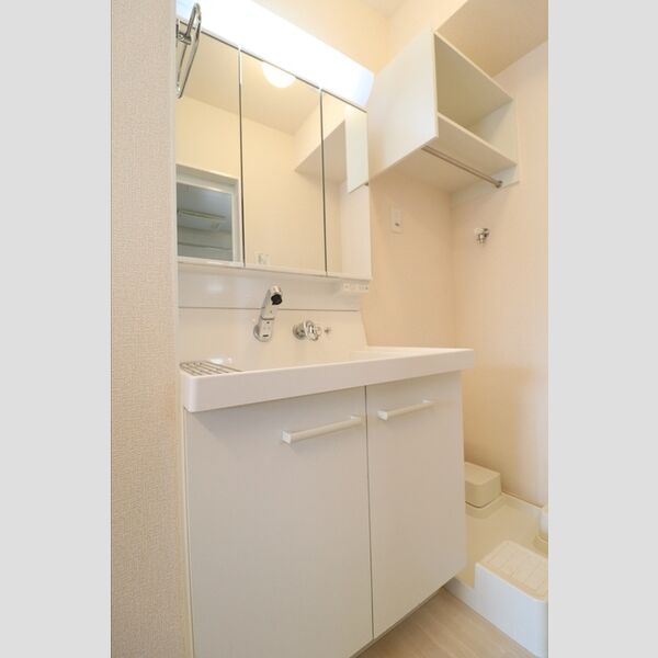 洗面所 (洗髪洗面化粧台)