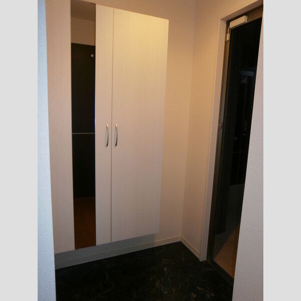 その他 (シューズボックス(トールタイプ))