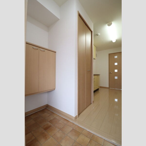 玄関 (シューズボックス(カウンタータイプ))