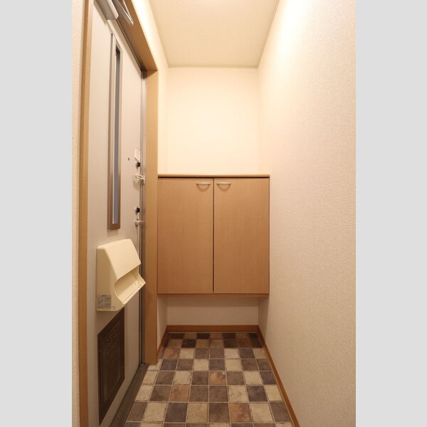 玄関 (シューズボックス(カウンタータイプ))